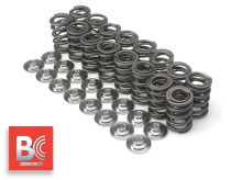 Honda/Acura B18A/B18B/B20B Ventilfjäderkit med Titan-Retainers Brian Crower